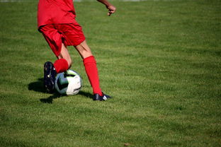 九游中心官网-篮球专项技能训练标准体系建设，篮球专项训练方法和手段